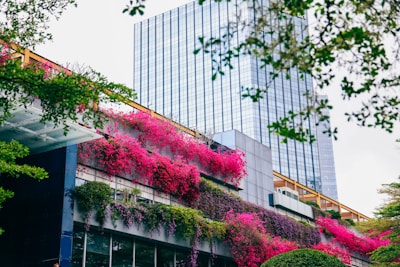 An urban garden with vibrant pink flowering plants hanging over several levels of a modern building. The building has a sleek, reflective glass exterior. Trees with green foliage frame the image from the top and sides.