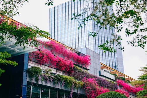 An urban garden with vibrant pink flowering plants hanging over several levels of a modern building. The building has a sleek, reflective glass exterior. Trees with green foliage frame the image from the top and sides.