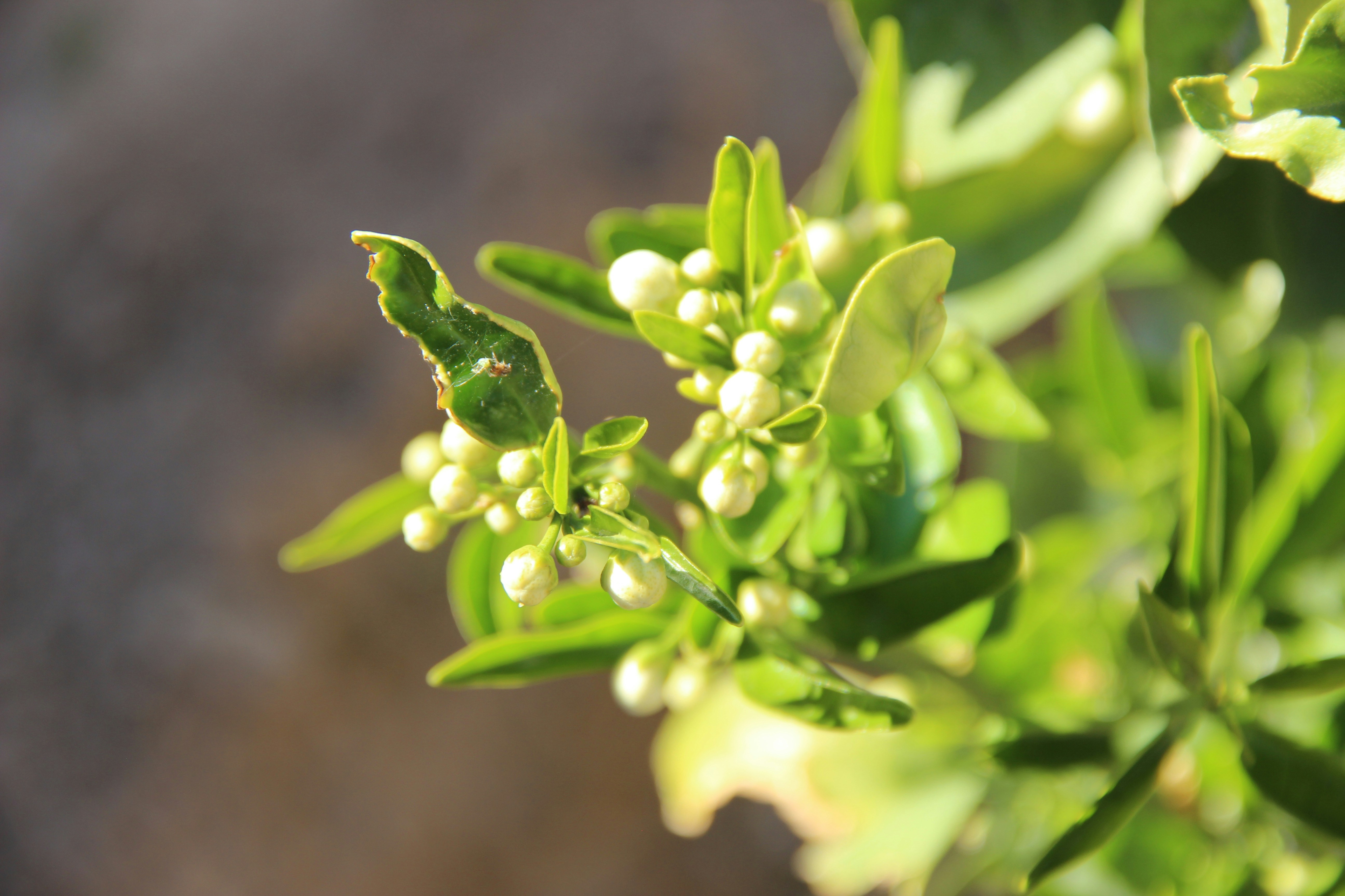 Photo by paris_nature_photo