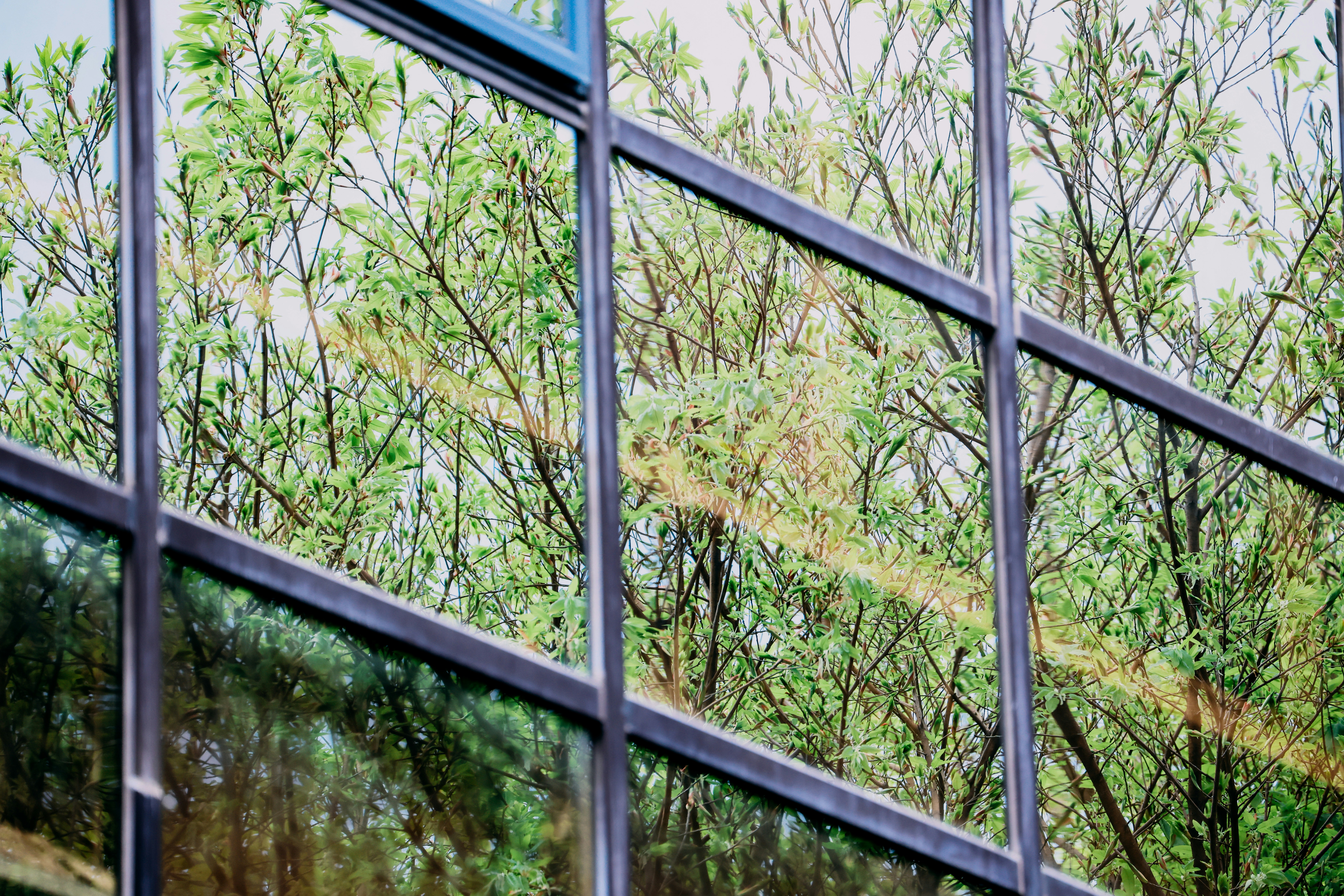 Photo by dickenslin76