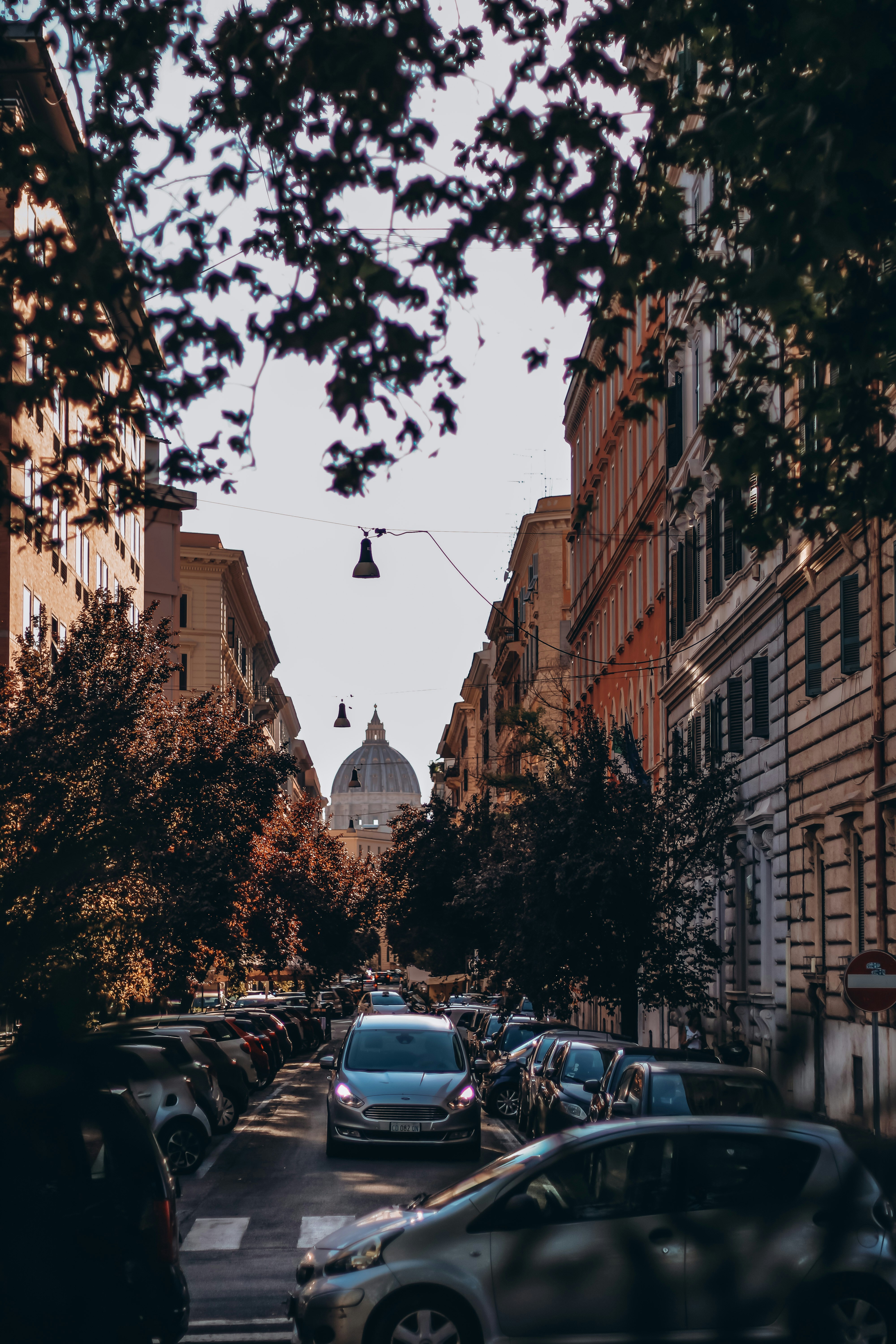 Photo by catalinamcv