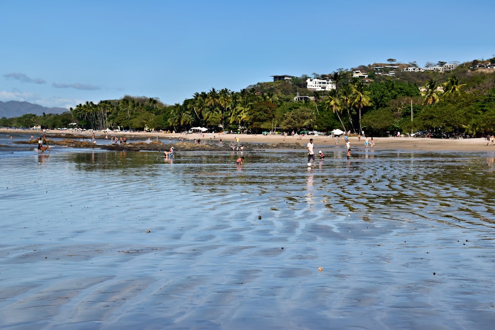 a group of people standing on top of a sandy beach