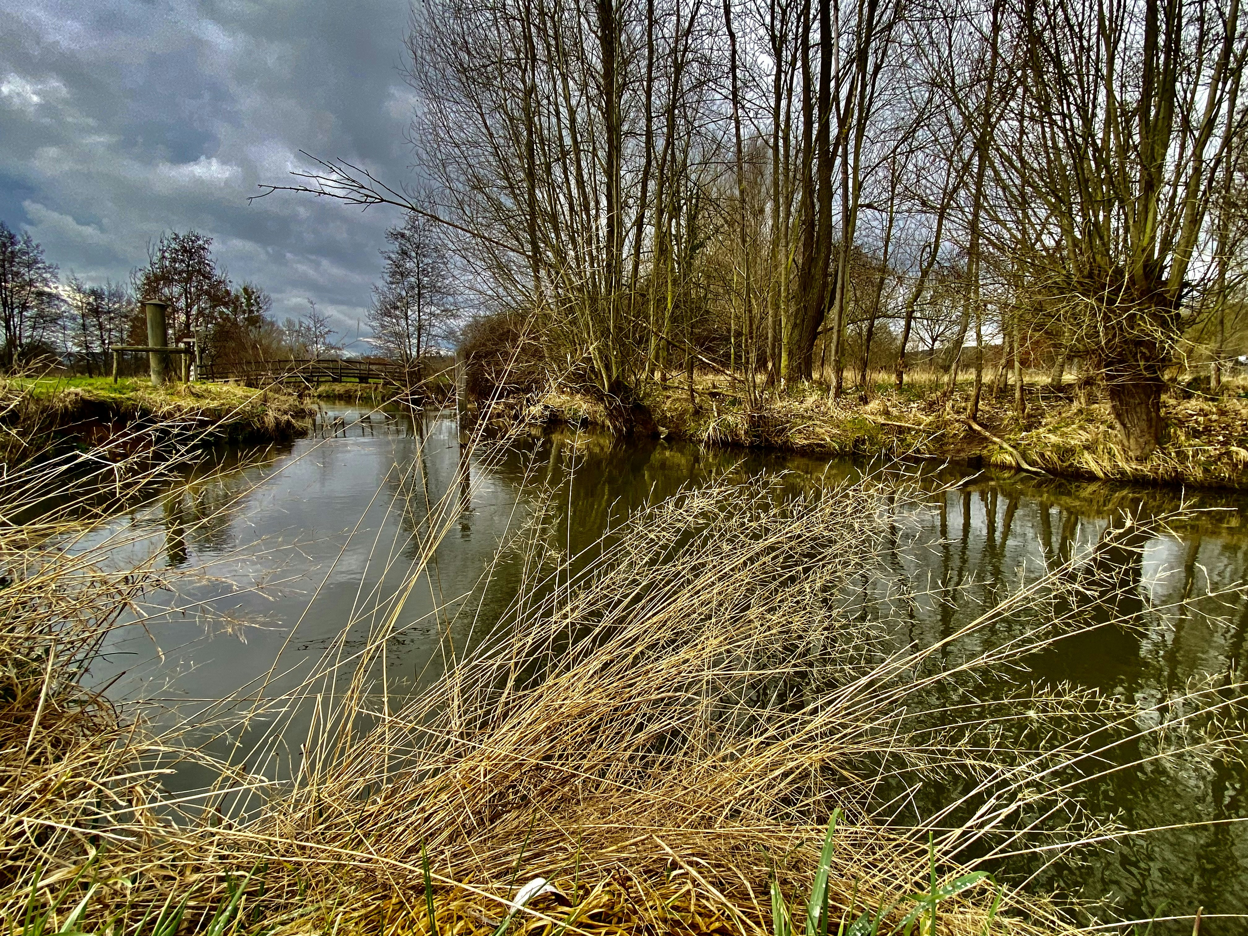 Photo by szalata