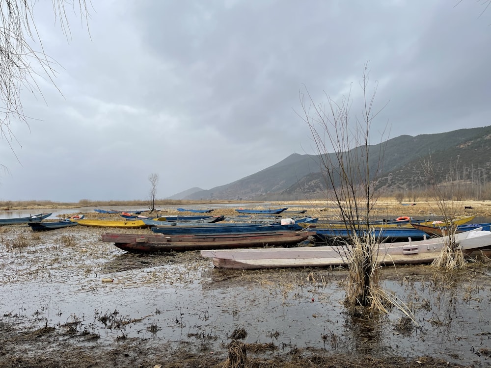 a bunch of boats that are sitting in the water