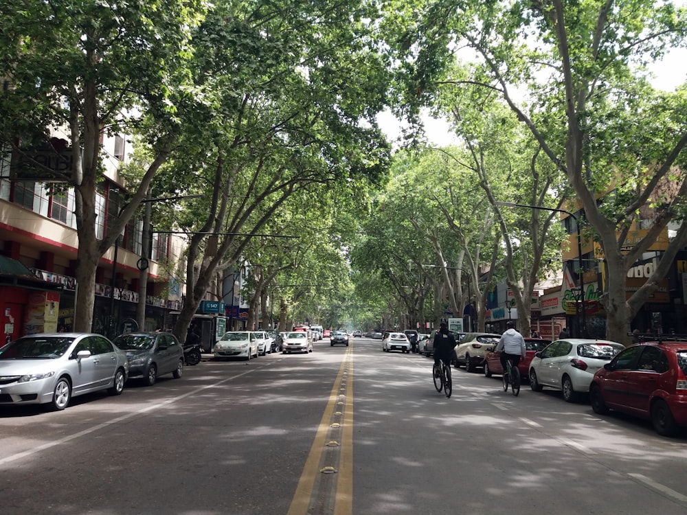 a man riding a bike down a tree lined street