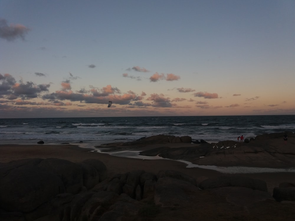 a group of people standing on top of a beach next to the ocean