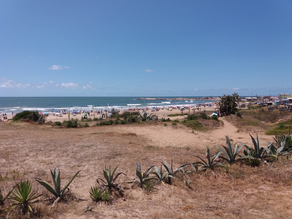 a sandy beach with lots of people on it