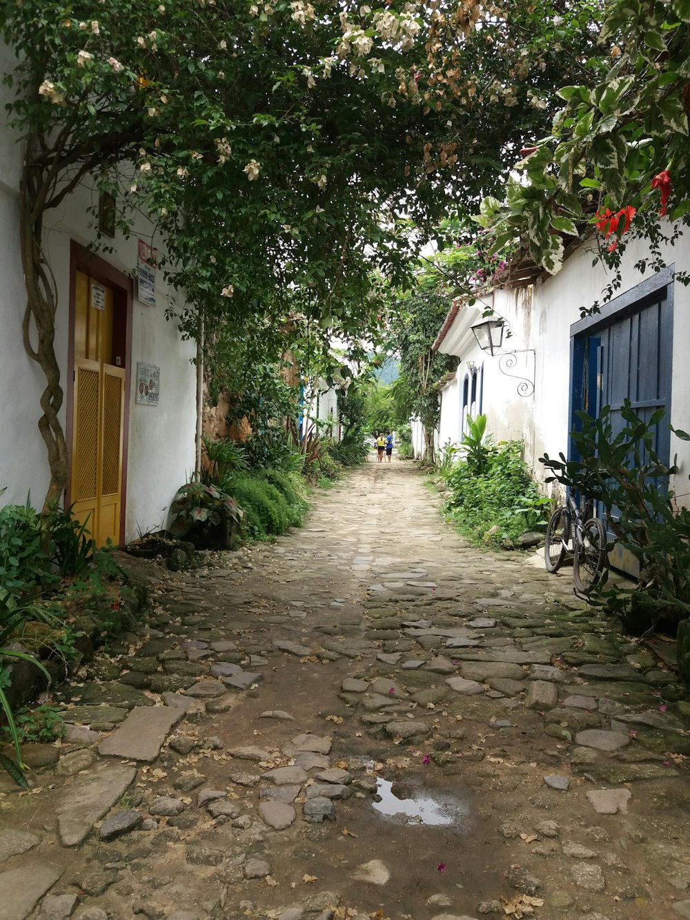 a cobblestone street lined with trees and bushes