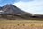 A vast, arid landscape with a prominent mountain in the background. The mountain is partially covered with patches of snow under a lightly cloudy sky. In the foreground, a herd of wild animals, likely vicuñas or similar species, are grazing amidst scattered tufts of yellowish grass.