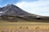 A vast, arid landscape with a prominent mountain in the background. The mountain is partially covered with patches of snow under a lightly cloudy sky. In the foreground, a herd of wild animals, likely vicuñas or similar species, are grazing amidst scattered tufts of yellowish grass.