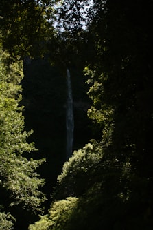 a large waterfall in the middle of a forest