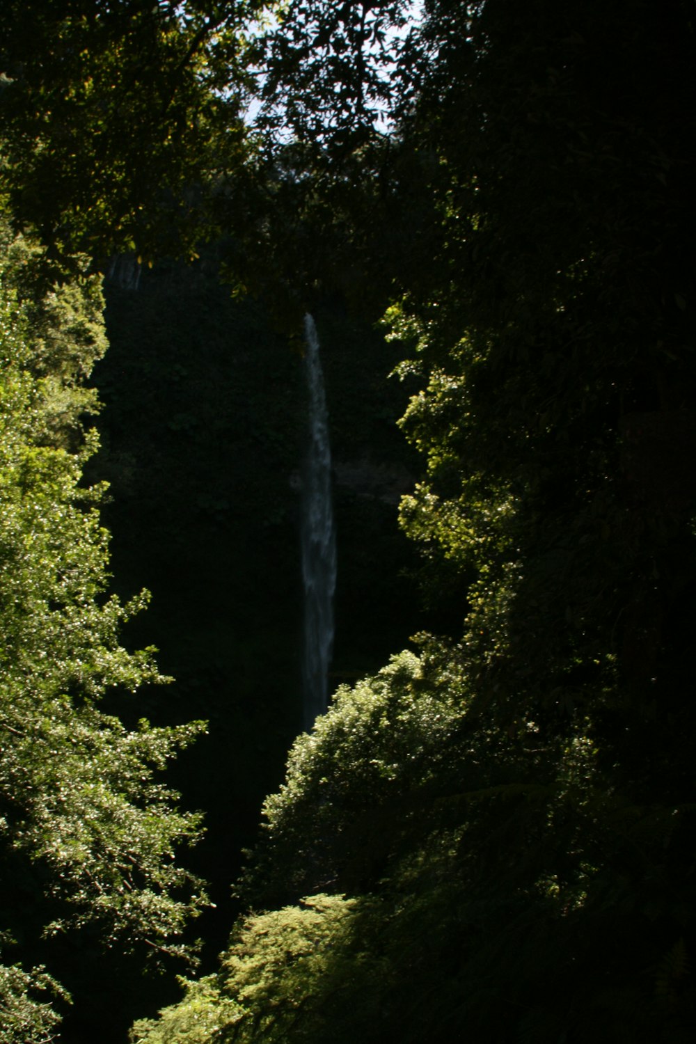 a large waterfall in the middle of a forest