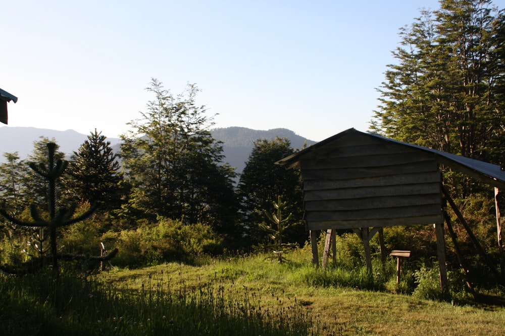 a small cabin in the middle of a forest