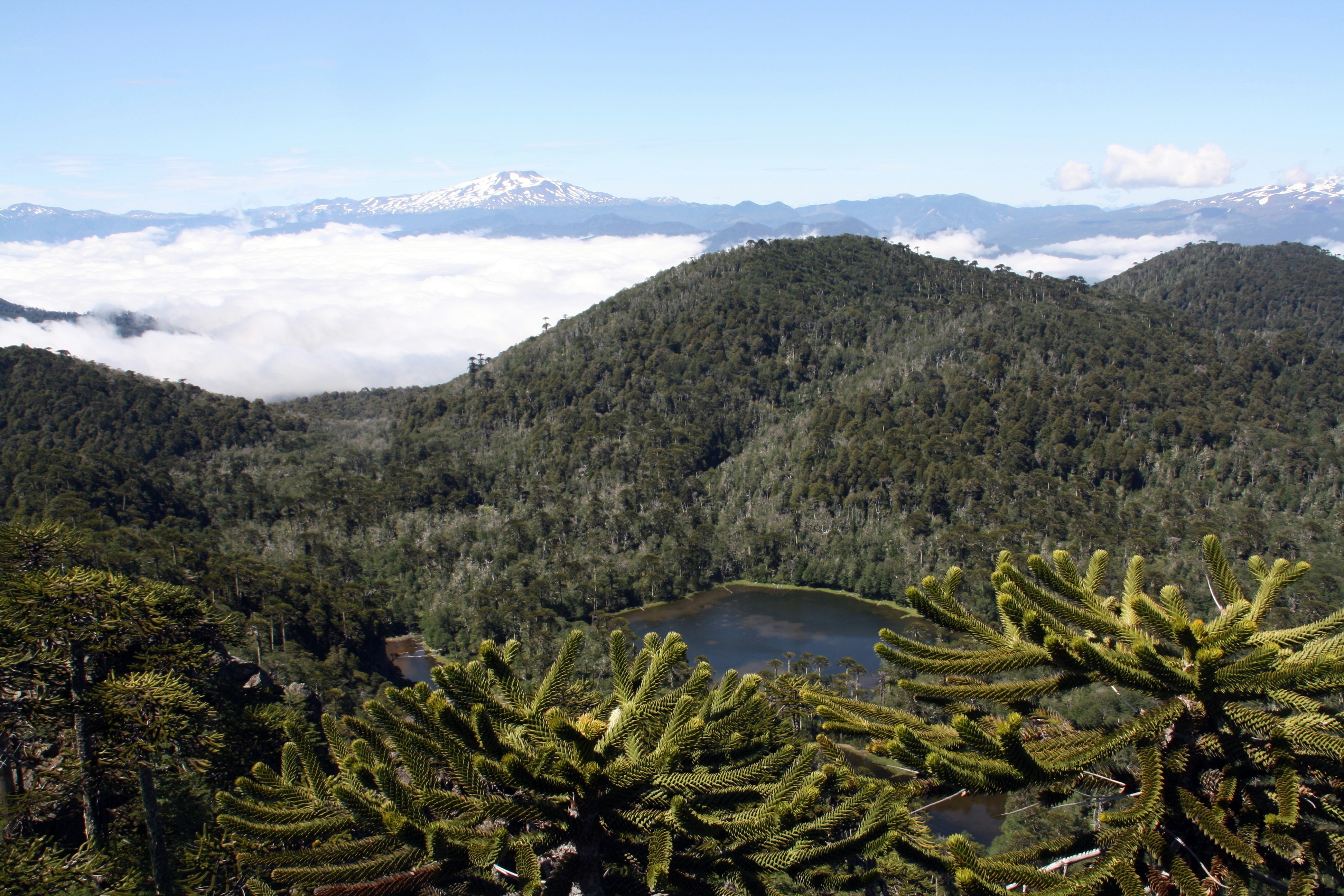 Pemandangan pegunungan dengan danau di latar depan