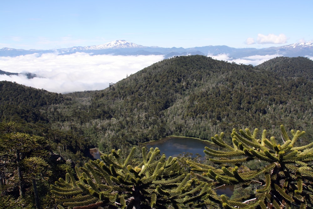 Una vista de una cadena montañosa con un lago en primer plano