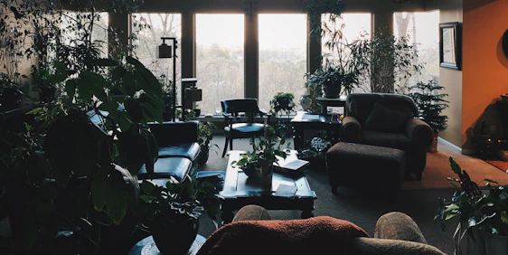 A cozy modern living room with lush indoor plants and natural wood accents bathed in soft sunlight.