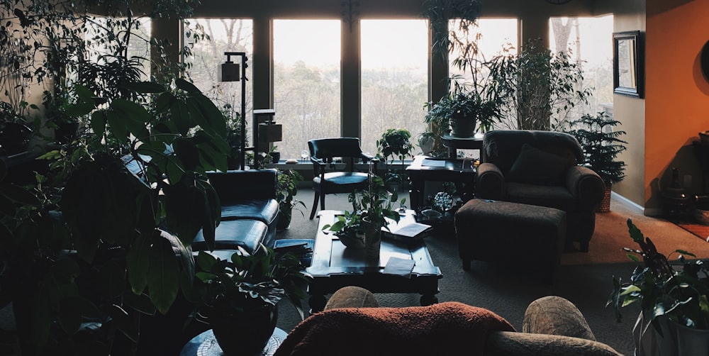 a living room filled with furniture and lots of plants