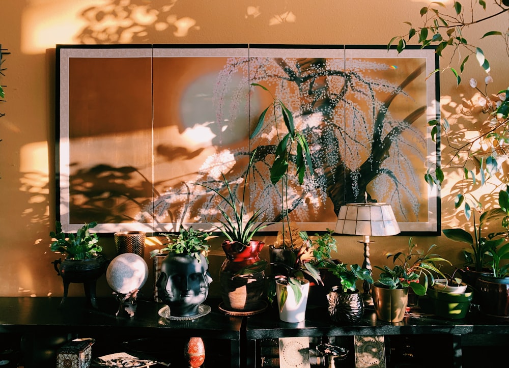 a table topped with lots of potted plants