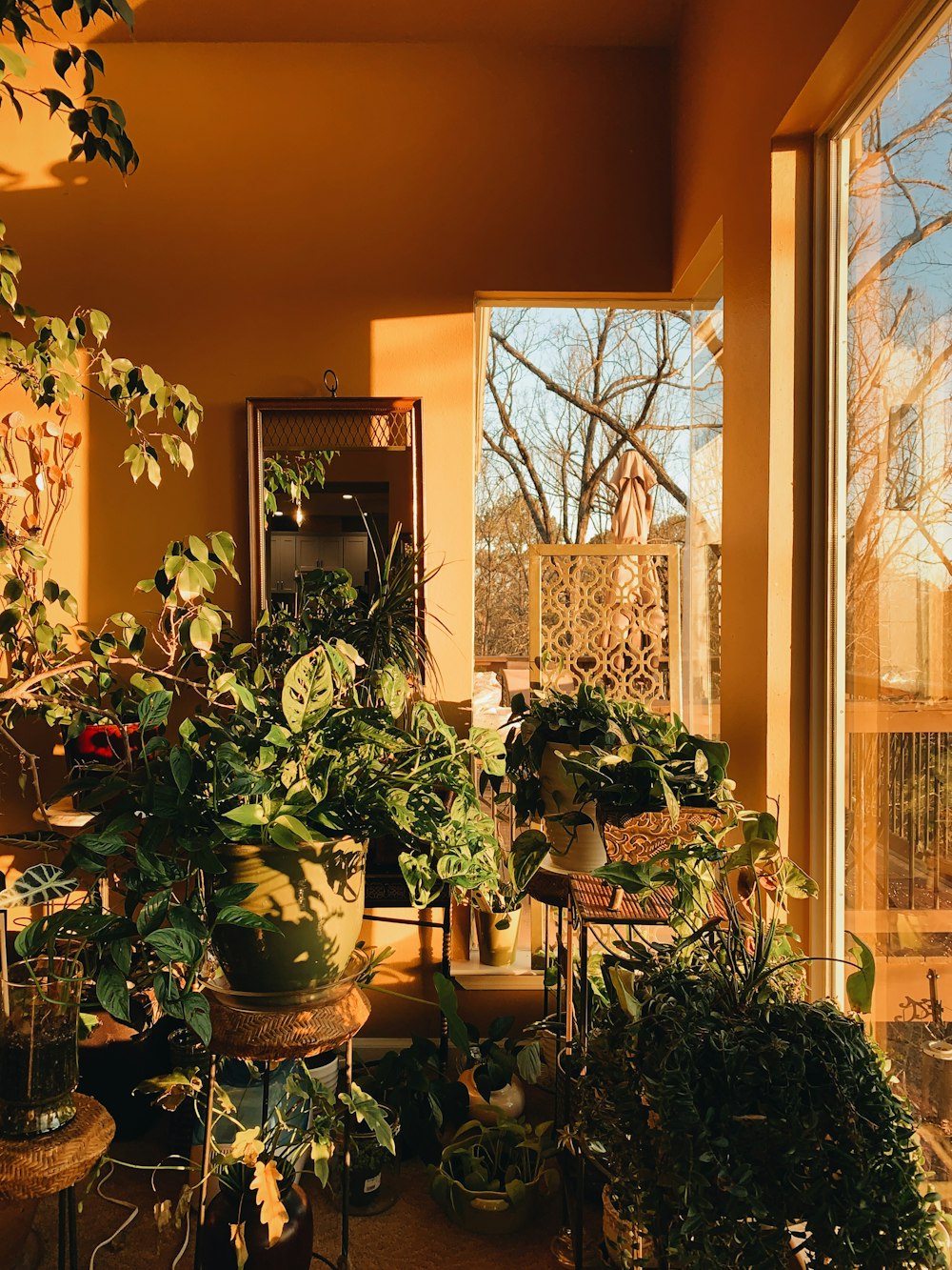 a room filled with lots of potted plants