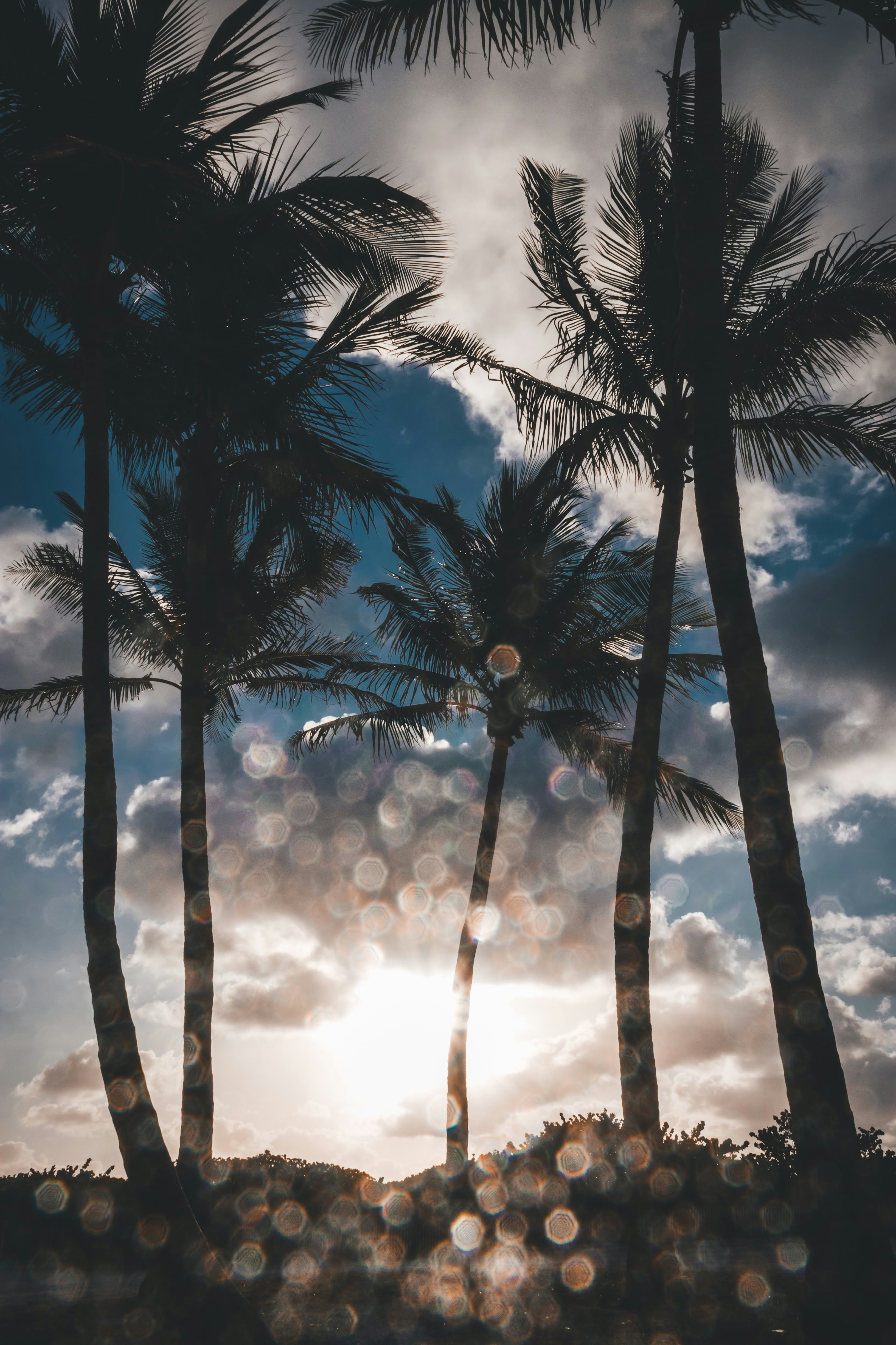 Photo by brice_cooper18