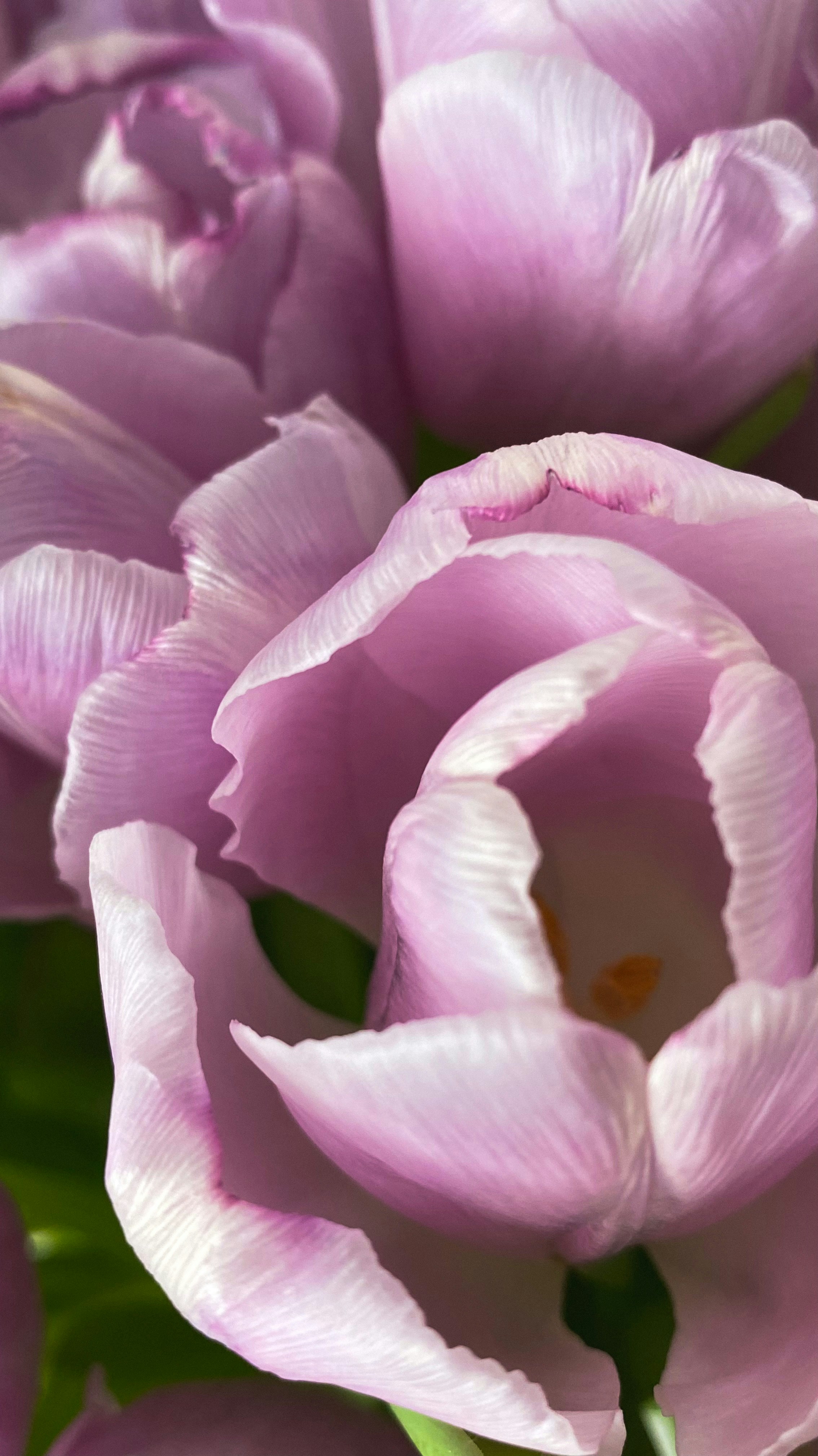 Photo by katerina_sen