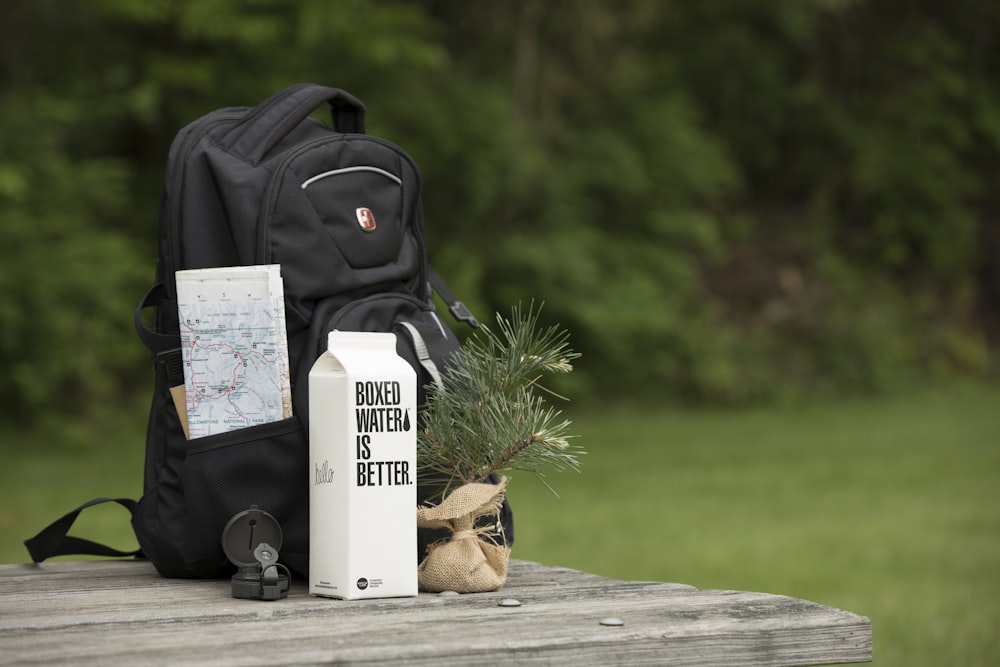 a backpack, a map, and a plant on a table