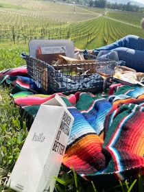 A vineyard stretches across the background with rows of grapevines under a clear blue sky. In the foreground, there is a picnic spread on a colorful striped blanket. A box labeled 'Boxed Water Is Better' is placed prominently near a glass of rosé wine. A wire basket contains packaged food items, including a container labeled 'Speck Italiano.' A person in jeans sits casually beside the picnic setup, their legs visible.