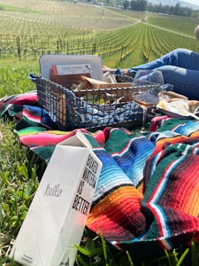 A vineyard stretches across the background with rows of grapevines under a clear blue sky. In the foreground, there is a picnic spread on a colorful striped blanket. A box labeled 'Boxed Water Is Better' is placed prominently near a glass of ros&eacute; wine. A wire basket contains packaged food items, including a container labeled 'Speck Italiano.' A person in jeans sits casually beside the picnic setup, their legs visible.