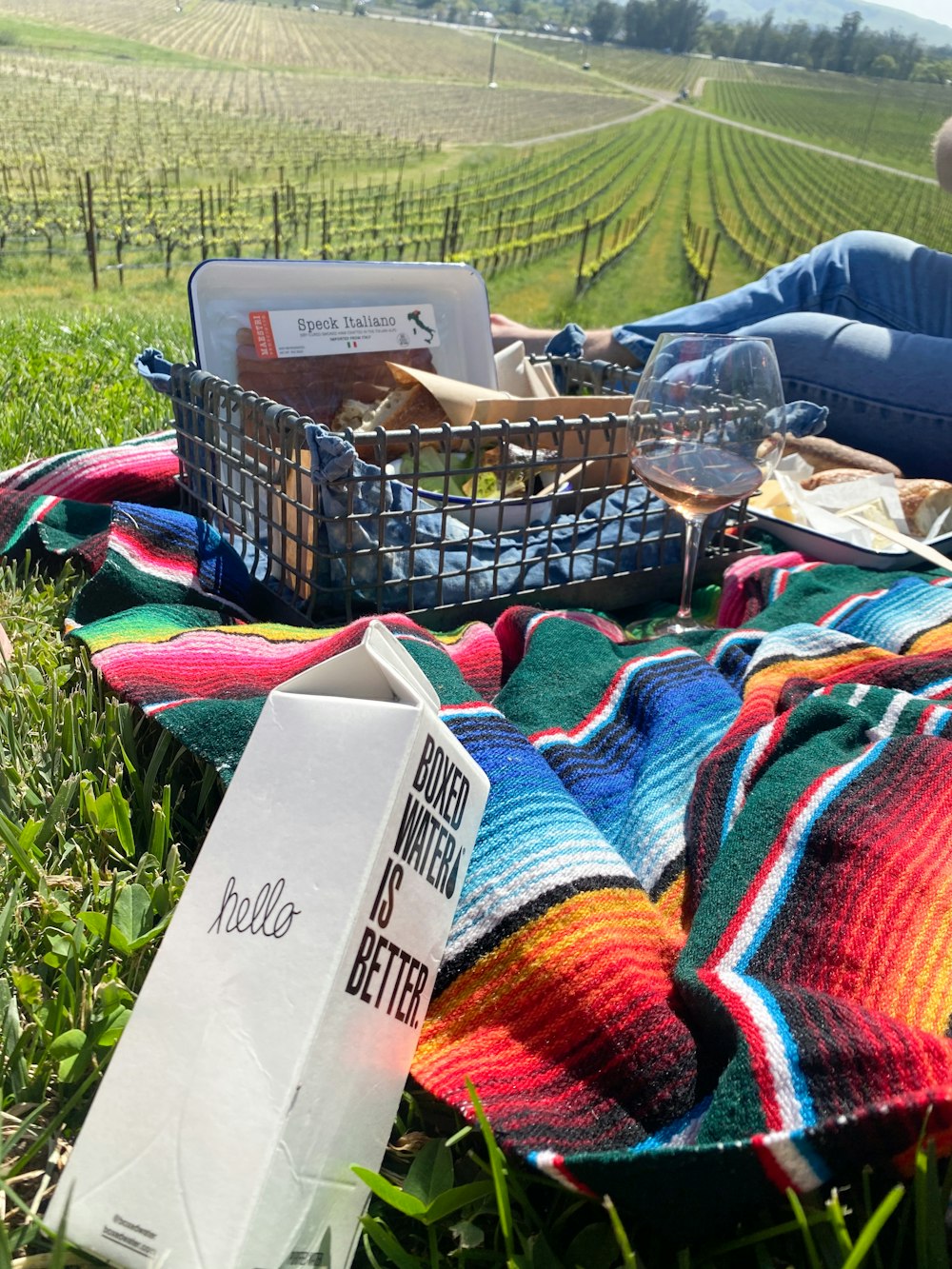 a person laying on a blanket with a basket of food
