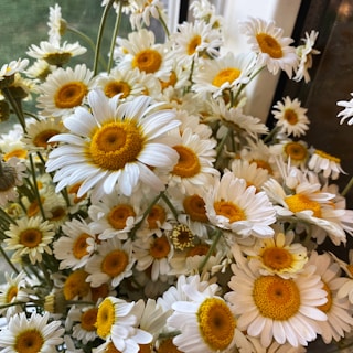 flor margarida a vase filled with lots of white and yellow flowers