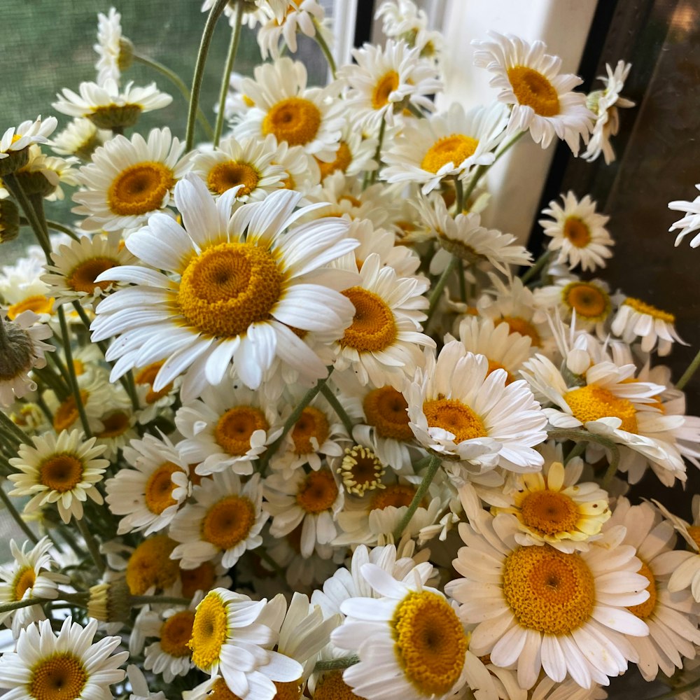 a vase filled with lots of white and yellow flowers