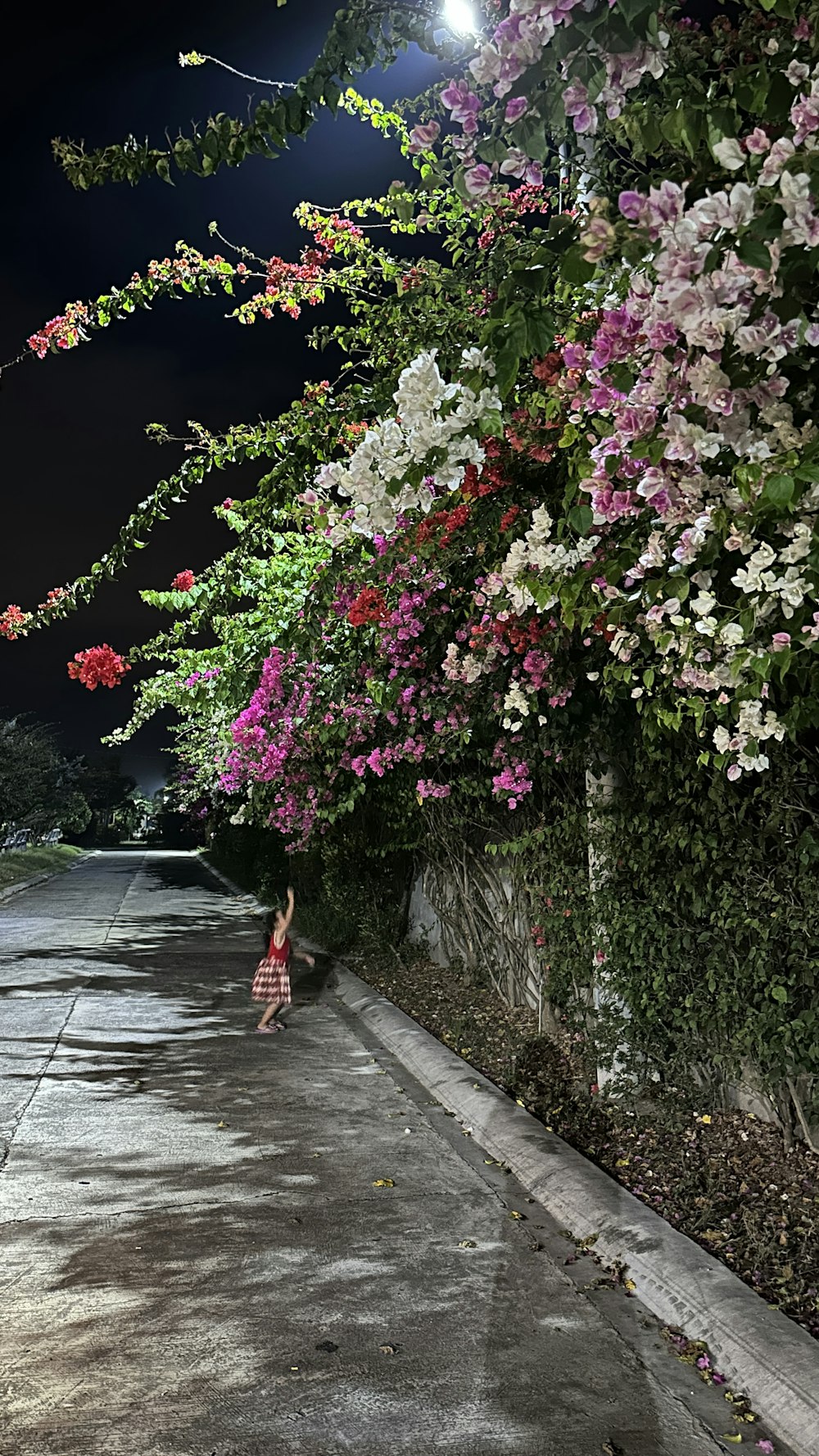 a little girl walking down a sidewalk at night