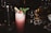 A dark cocktail bar setting features a tall, frothy cocktail topped with a sprig of mint and a cherry. The drink is served in a highball glass and garnished with a piece of chocolate. Various bar tools and glasses are in the background, creating a sophisticated atmosphere.
