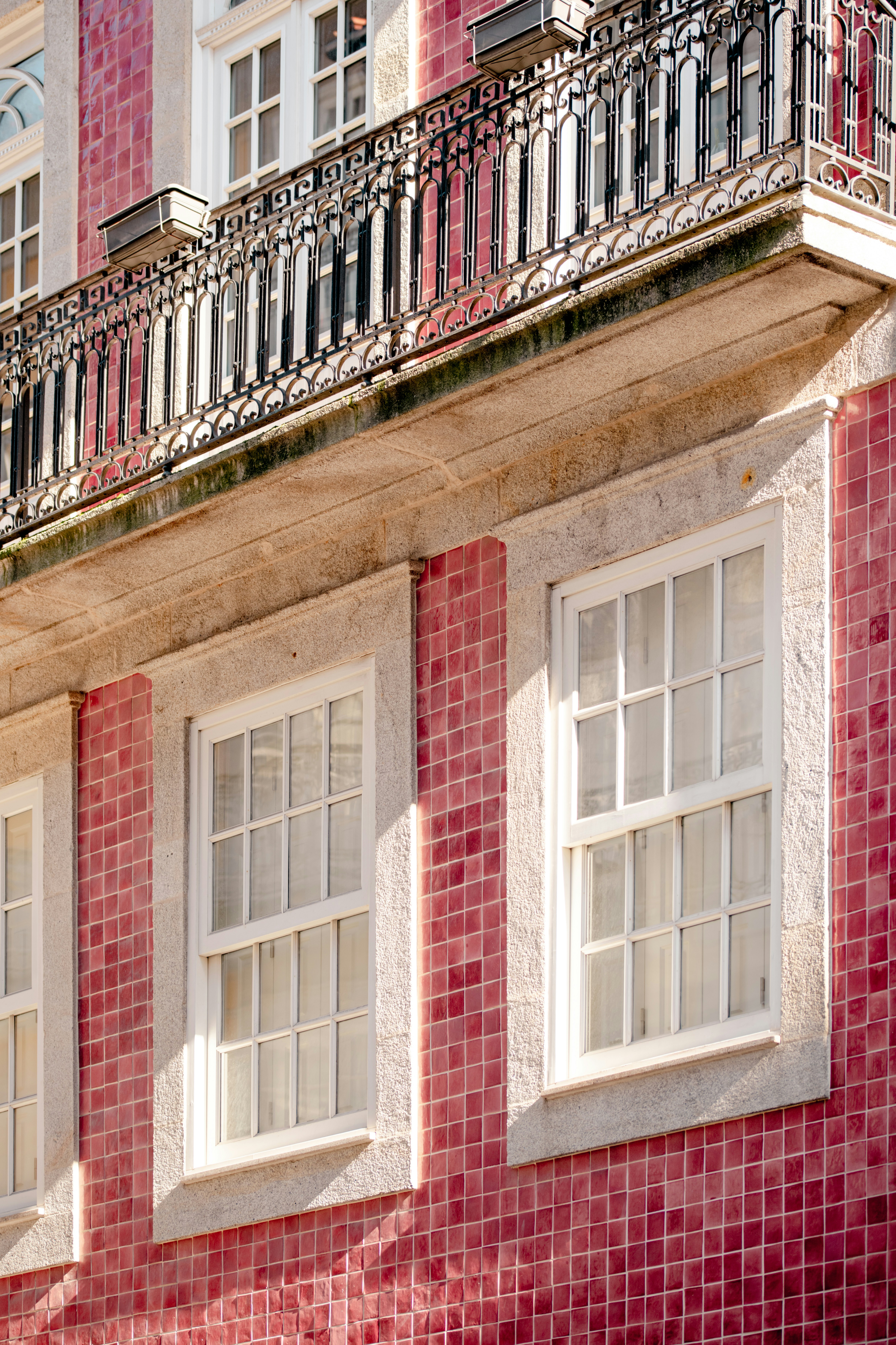 Photo by lauraadaiphoto