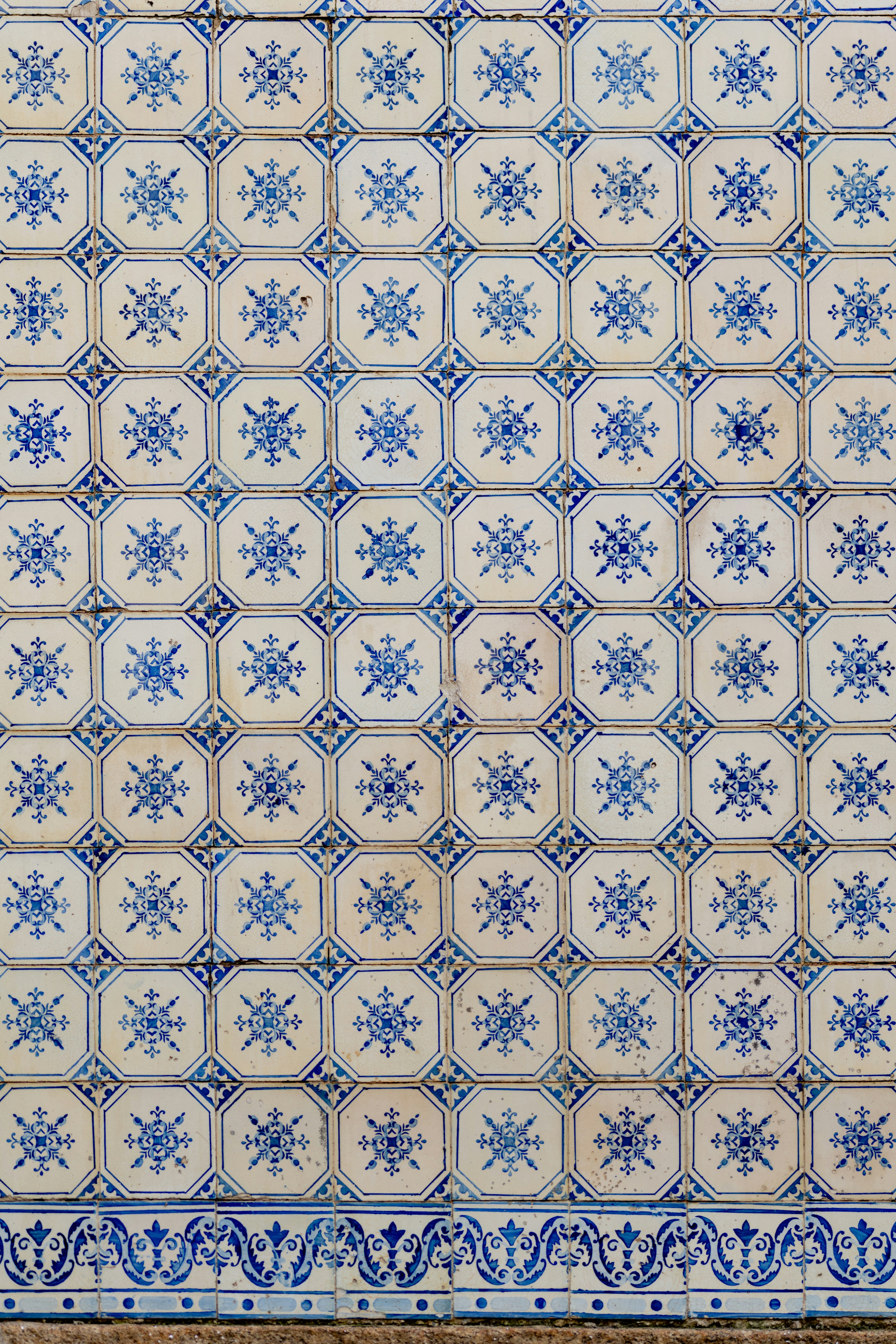 Photo by lauraadaiphoto