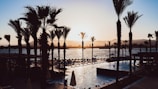 A serene sunset at a resort, with palm trees silhouetted against the sky. The sun is setting behind distant mountains, casting a warm glow over a large body of water. Lounge chairs line the edge of a swimming pool, offering a relaxing atmosphere.