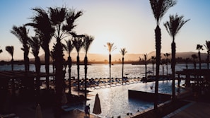 A serene sunset at a resort, with palm trees silhouetted against the sky. The sun is setting behind distant mountains, casting a warm glow over a large body of water. Lounge chairs line the edge of a swimming pool, offering a relaxing atmosphere.
