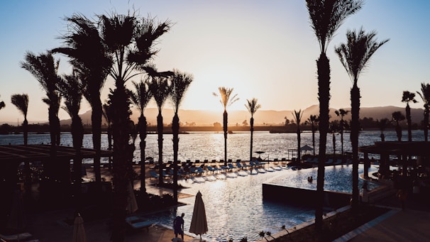Sunset over a luxury resort pool surrounded by palm trees.