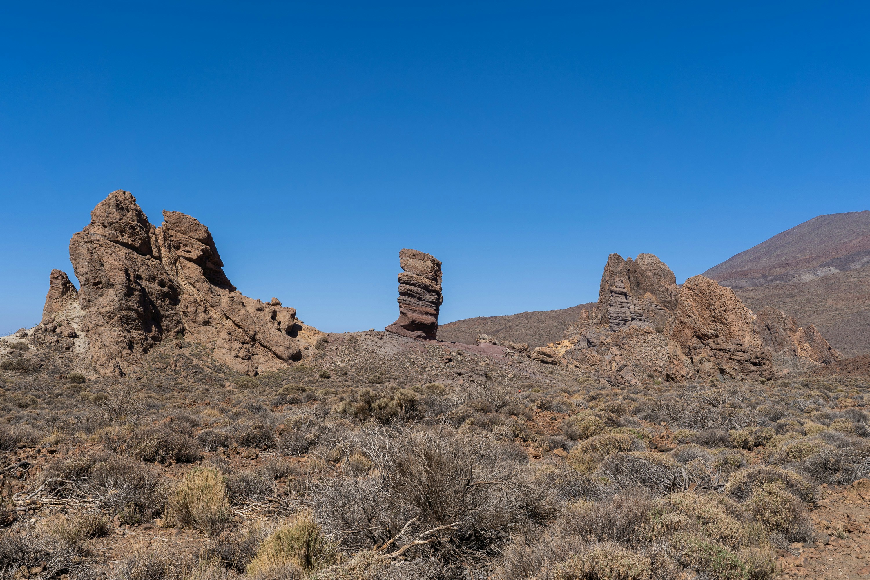 Photo by marwin_1972