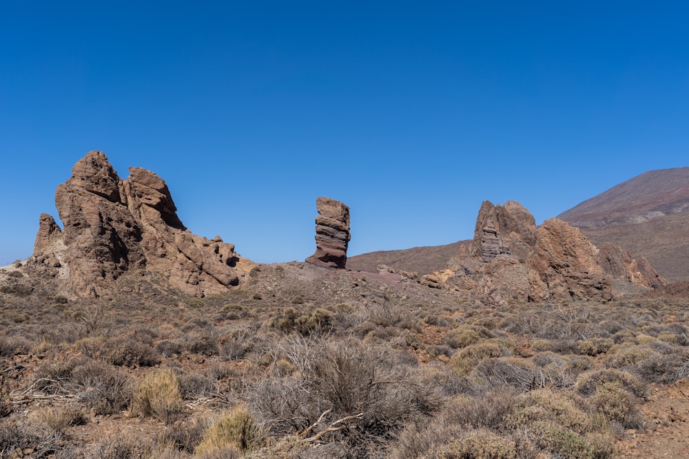 a desert landscape with rocks and scrub brush