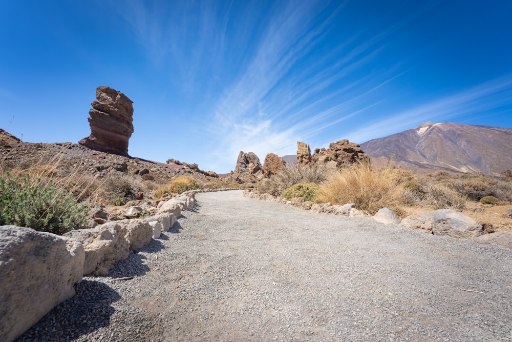 a dirt road in the middle of a desert