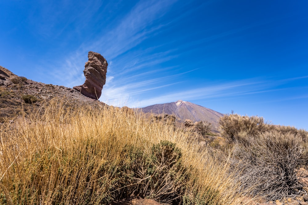 a rock formation in the middle of a desert