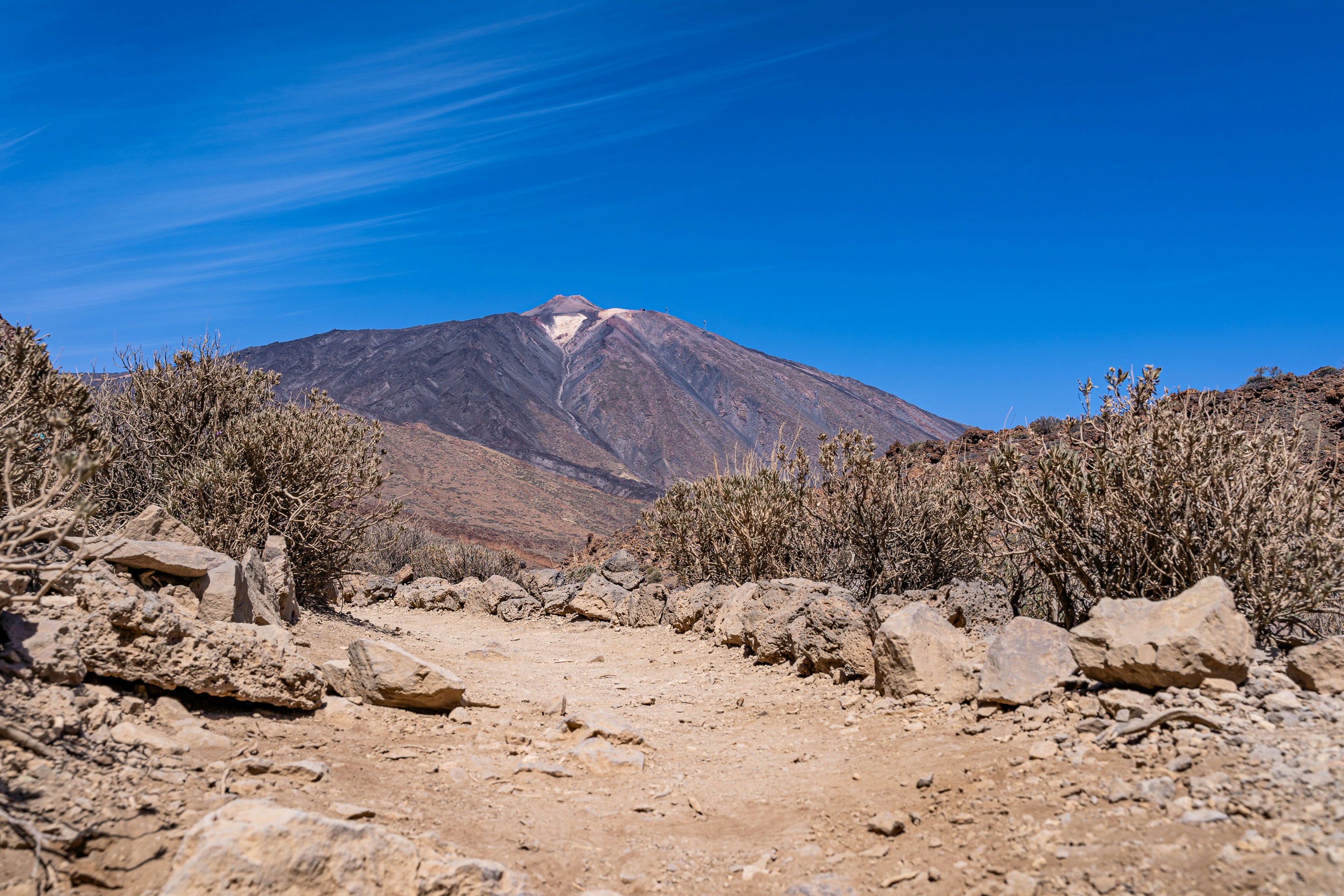 Photo by marwin_1972