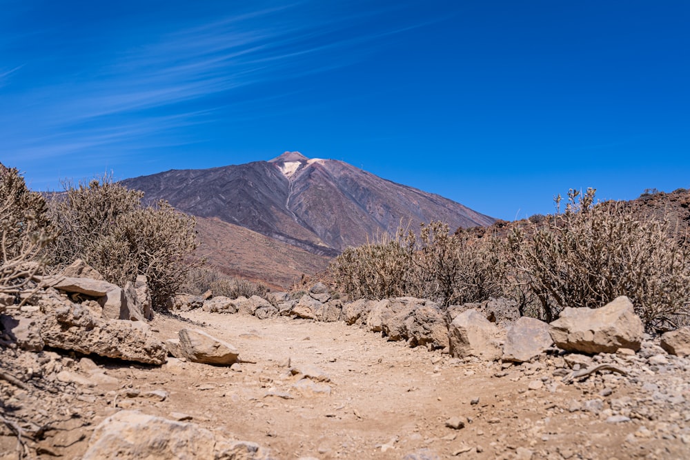 a dirt road with a mountain in the background