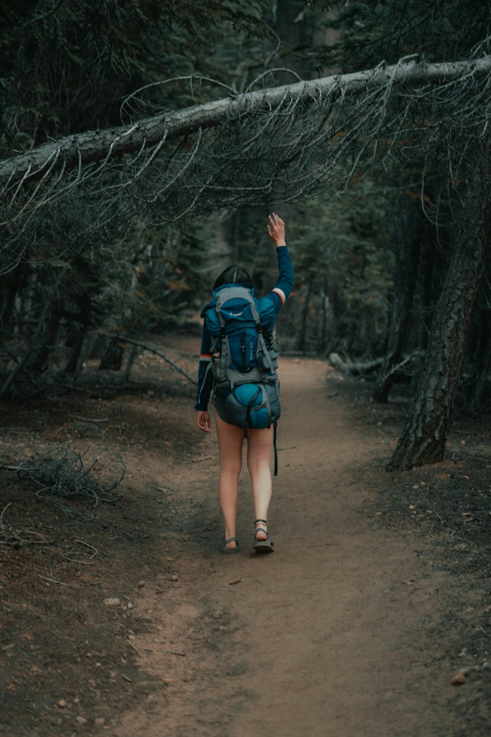 a woman with a backpack is walking through the woods