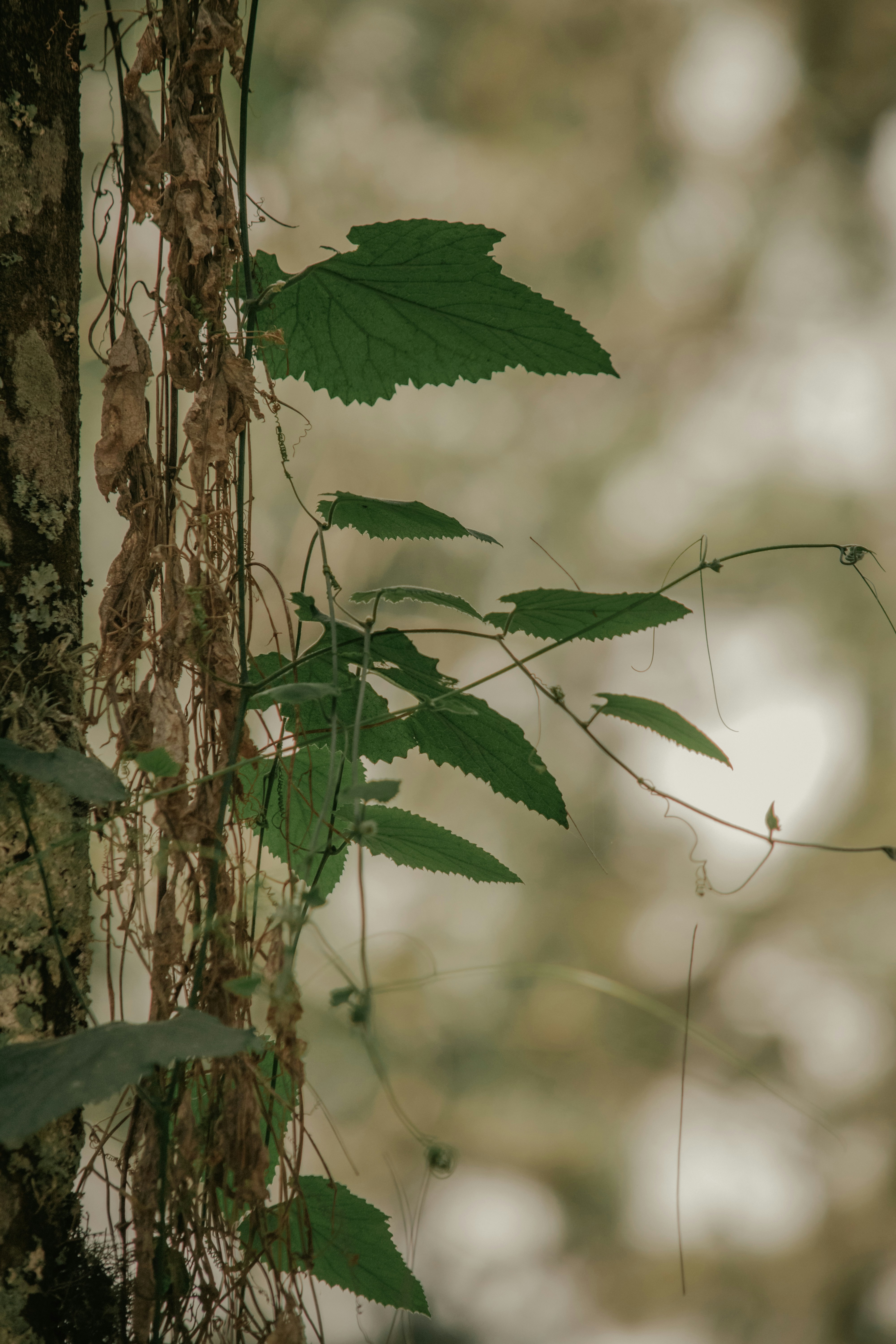 Photo by utunzajiwamazingira