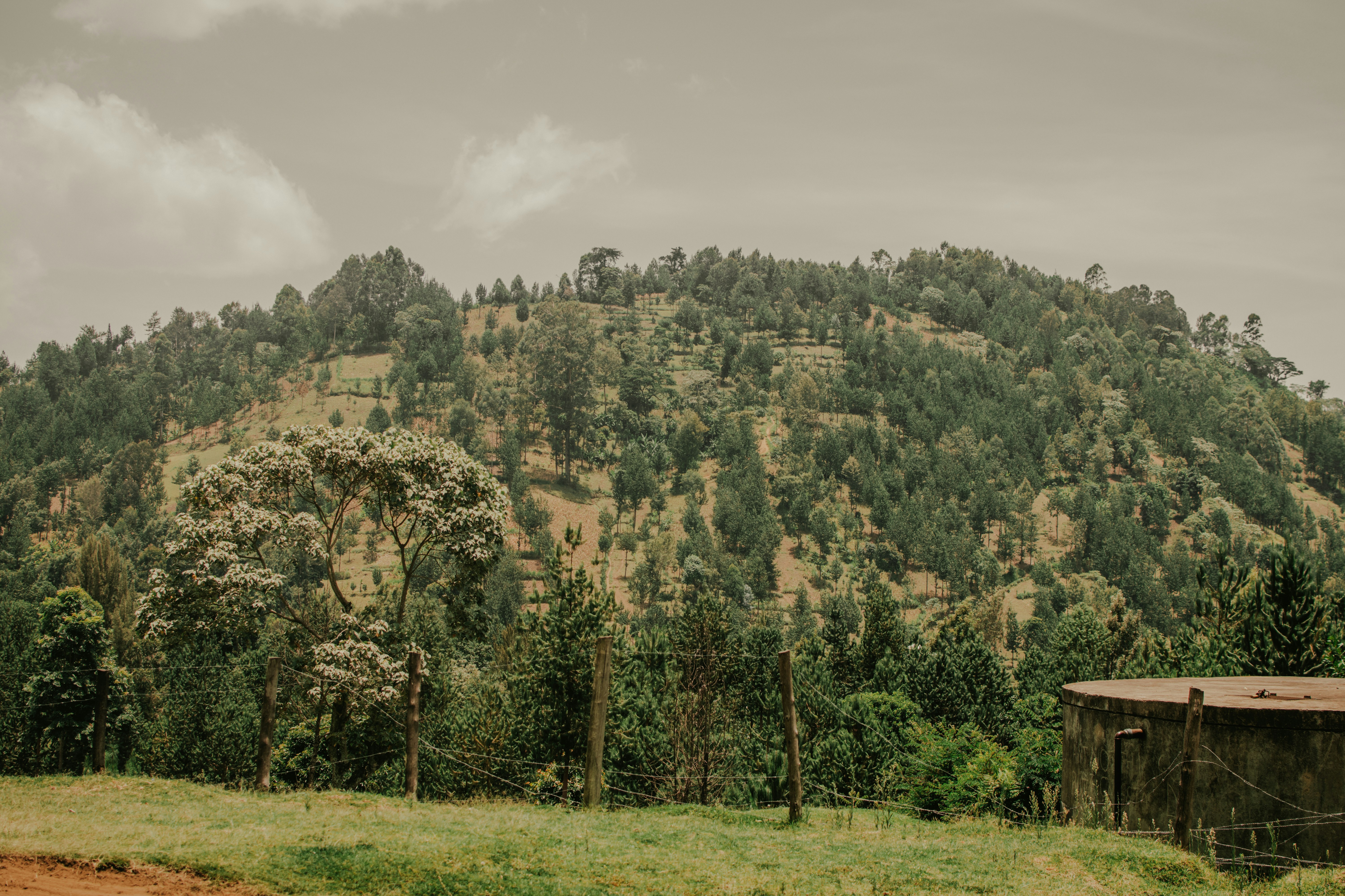 Photo by utunzajiwamazingira