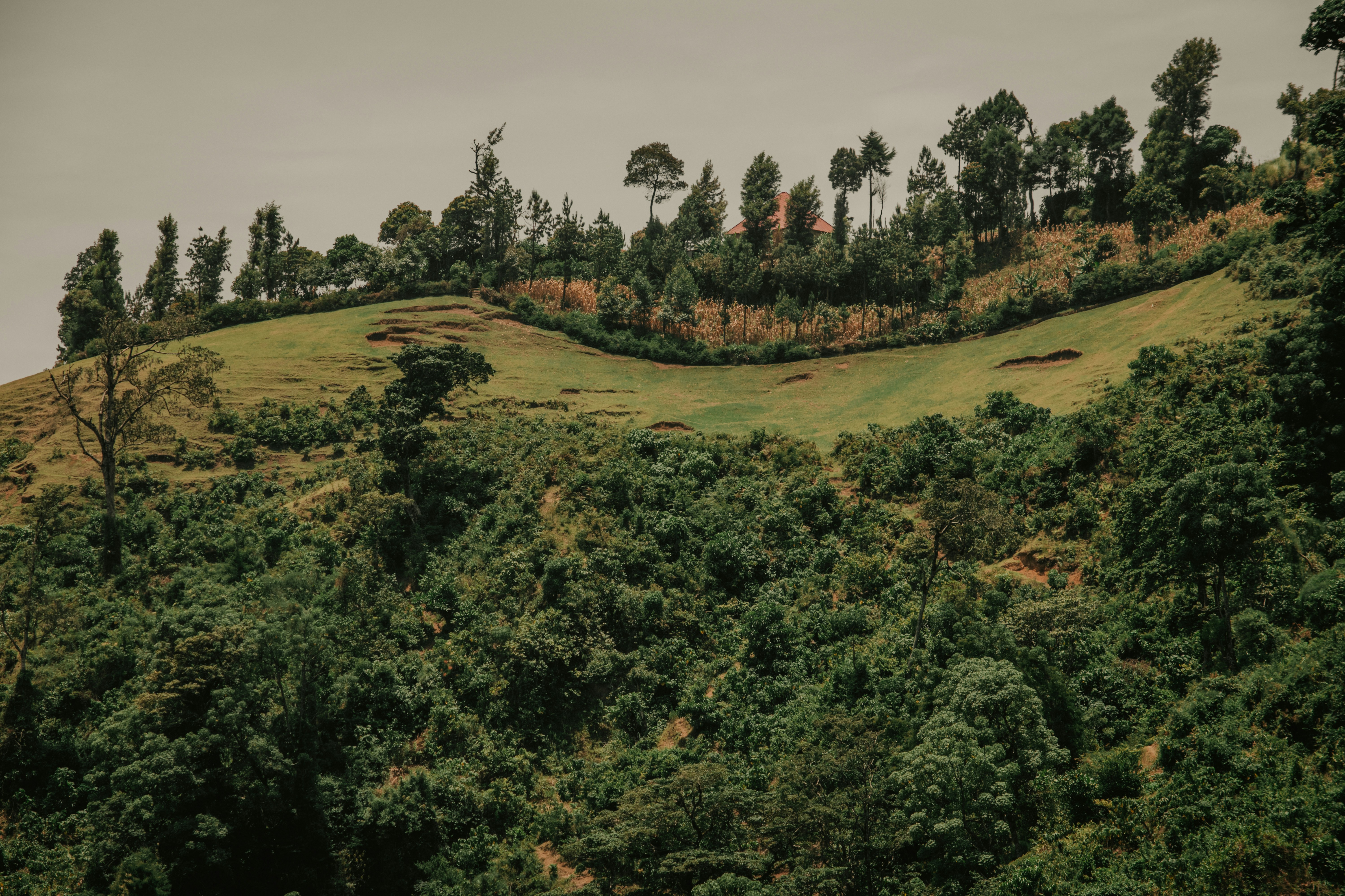 Photo by utunzajiwamazingira