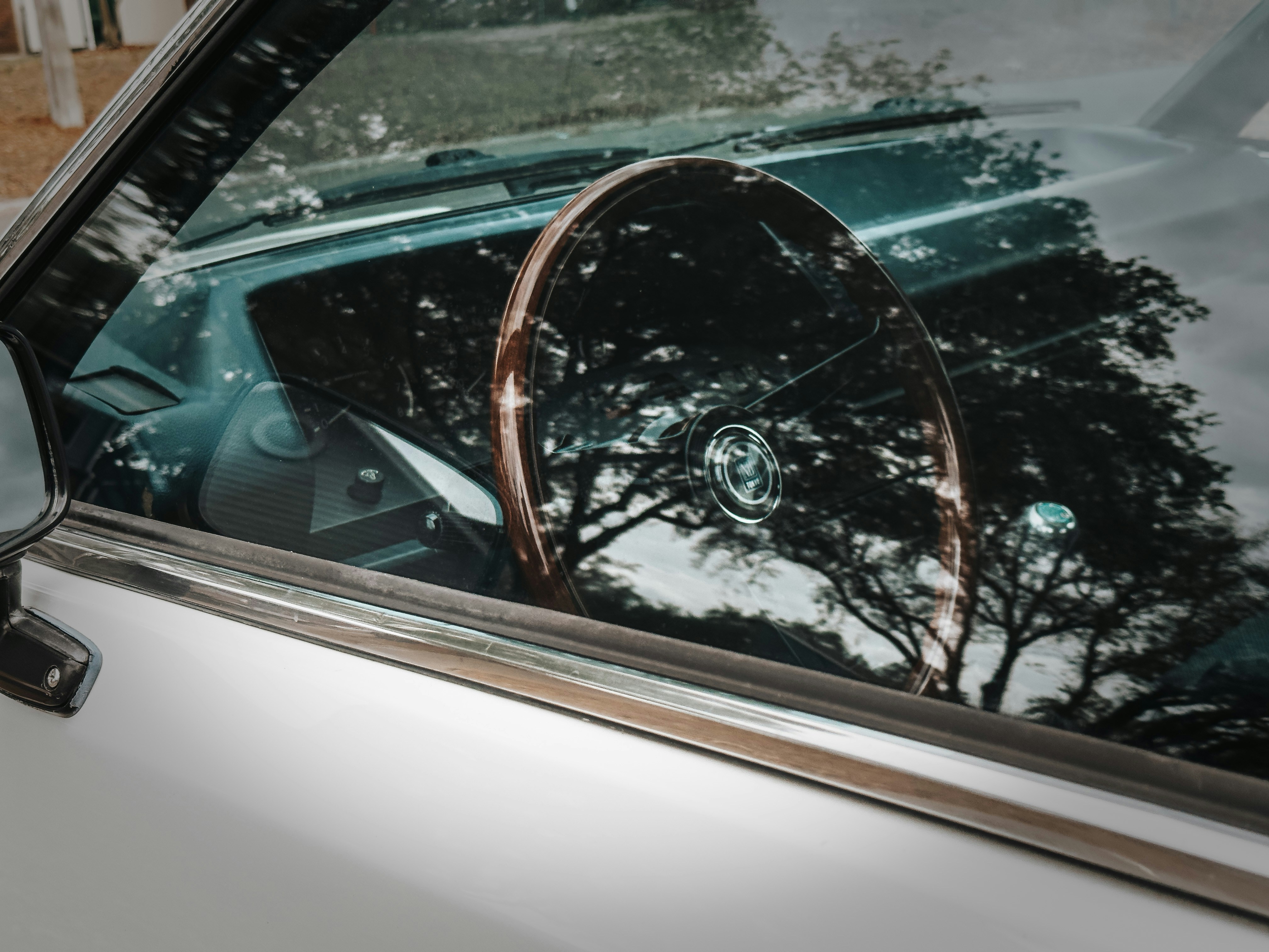 Photo by vamsi_lingam