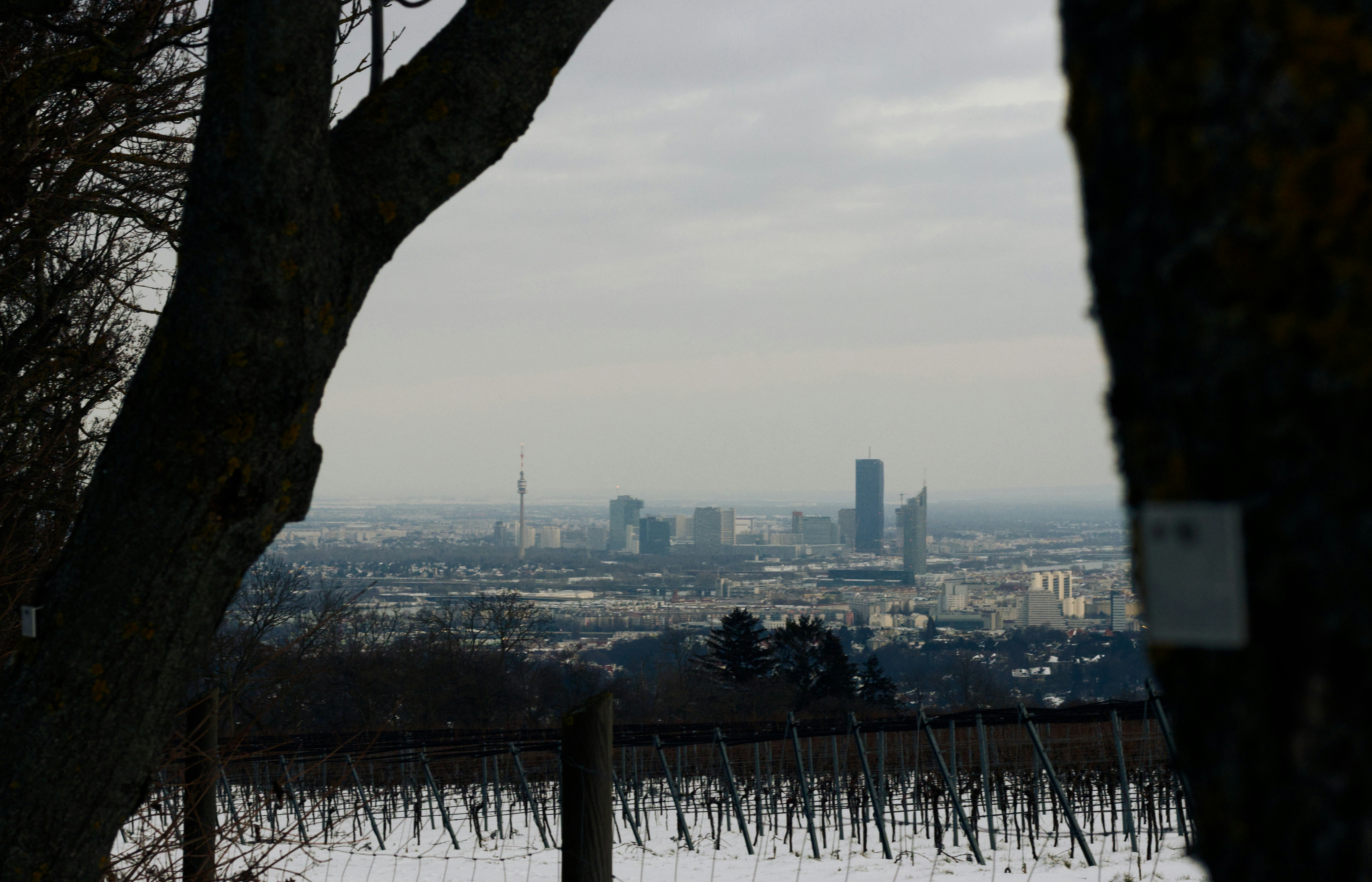 Photo by herrlechner